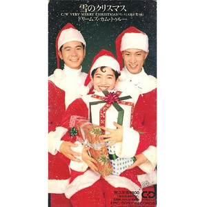 性感日本丰满老熟妇小视频
